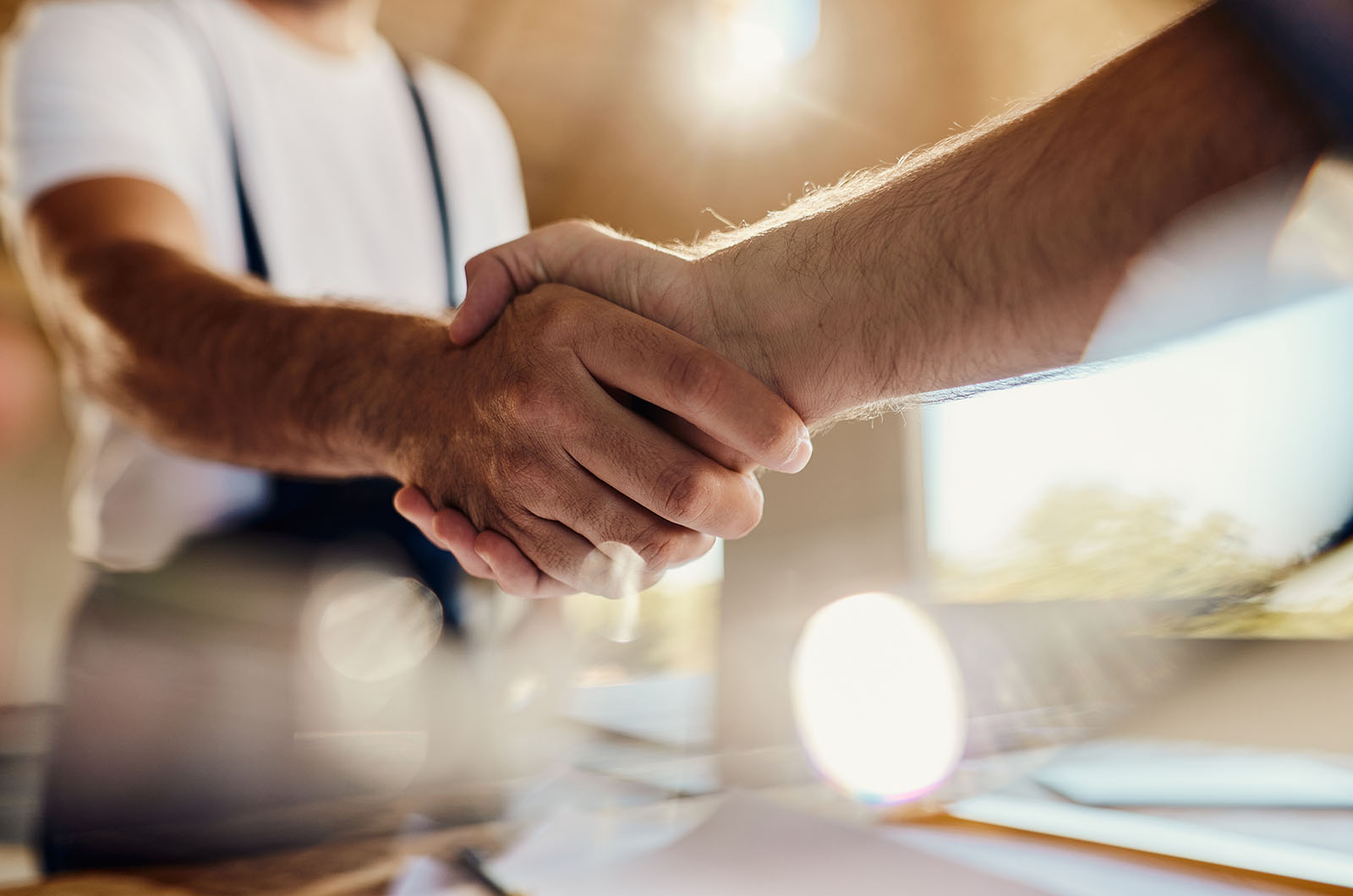 Successful agreement at construction site! Sanvation - Komplettabwicklung